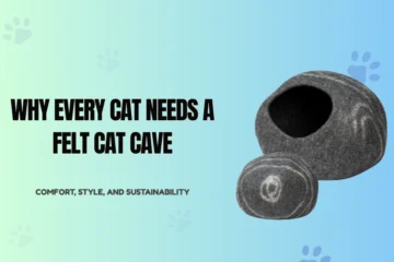 Why Every Cat Needs a Felt Cat Cave