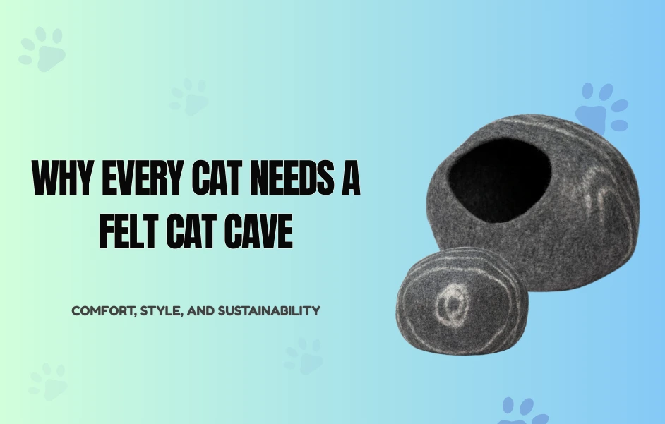 Why Every Cat Needs a Felt Cat Cave